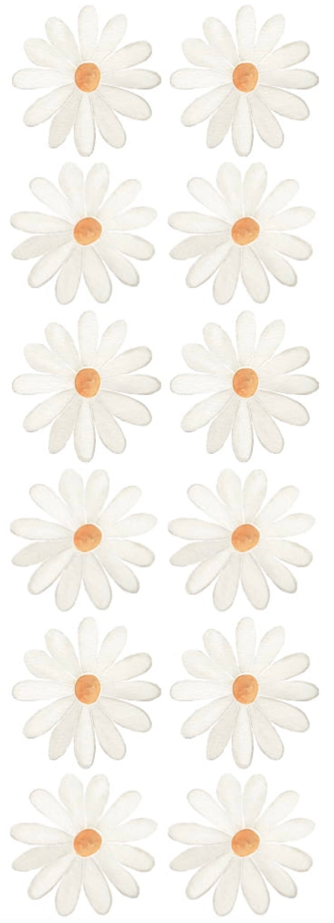Wallstickers | Daisies